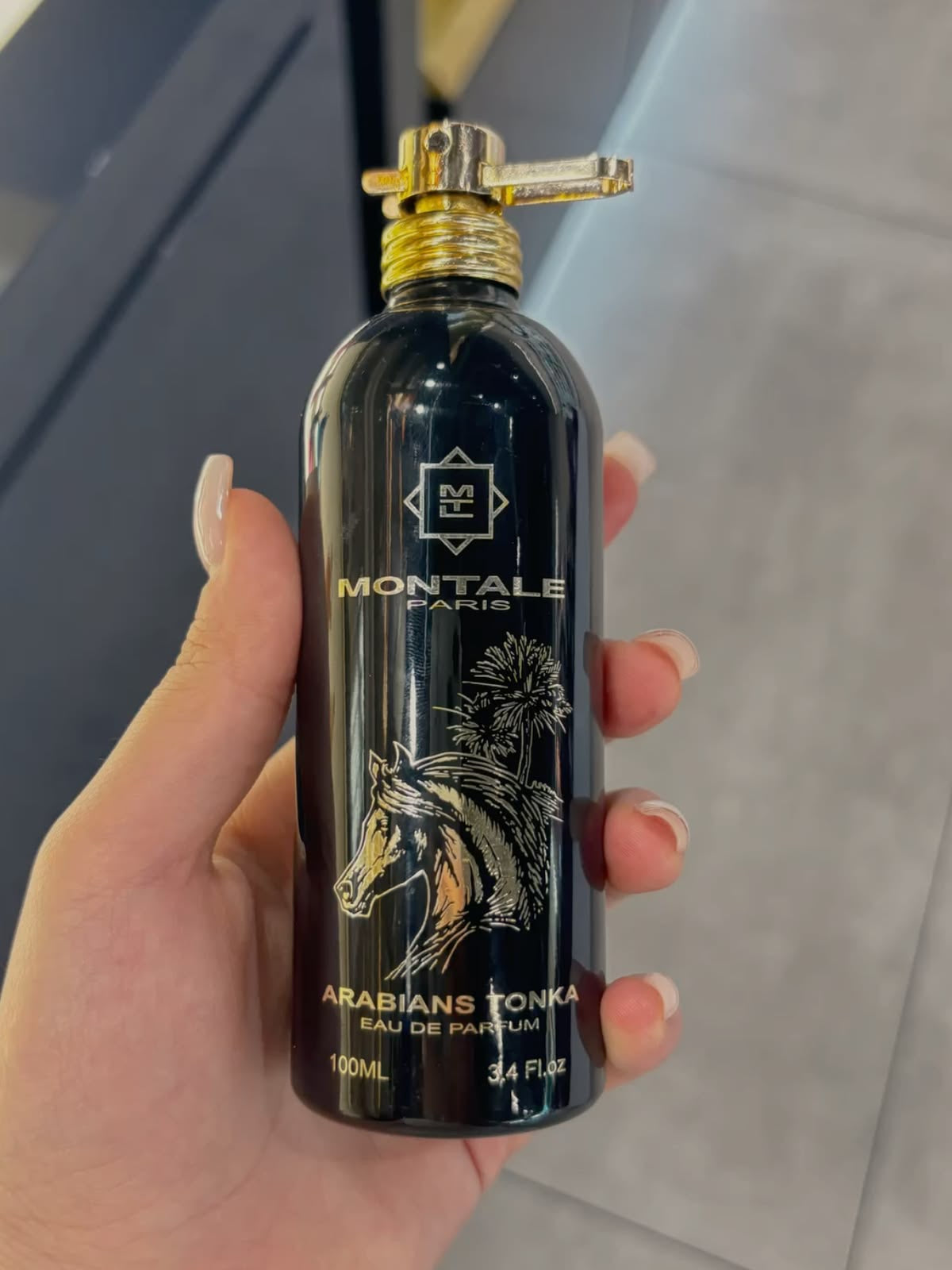 Montale Arabians Tonka