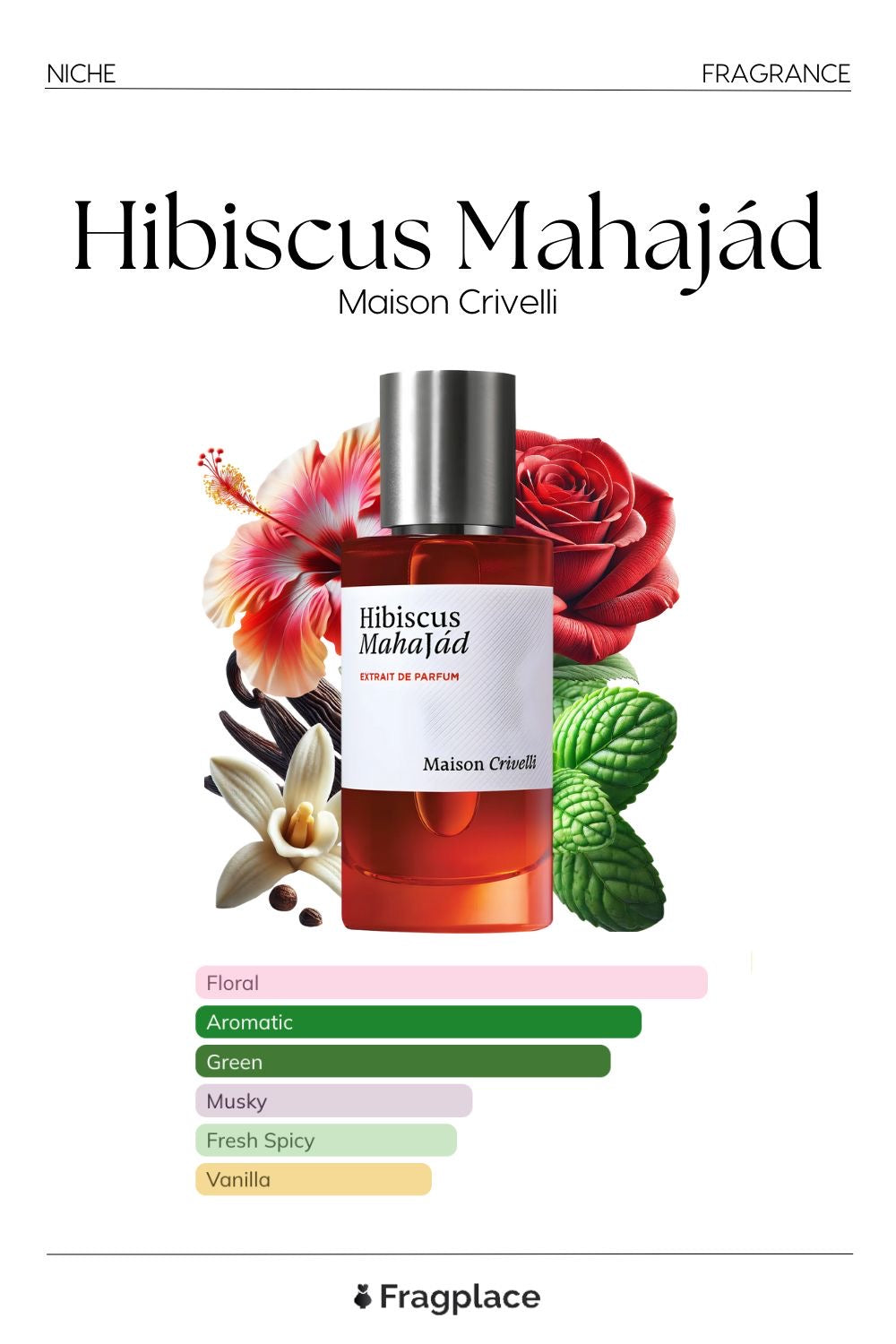 Maison Crivelli Hibiscus Mahajád