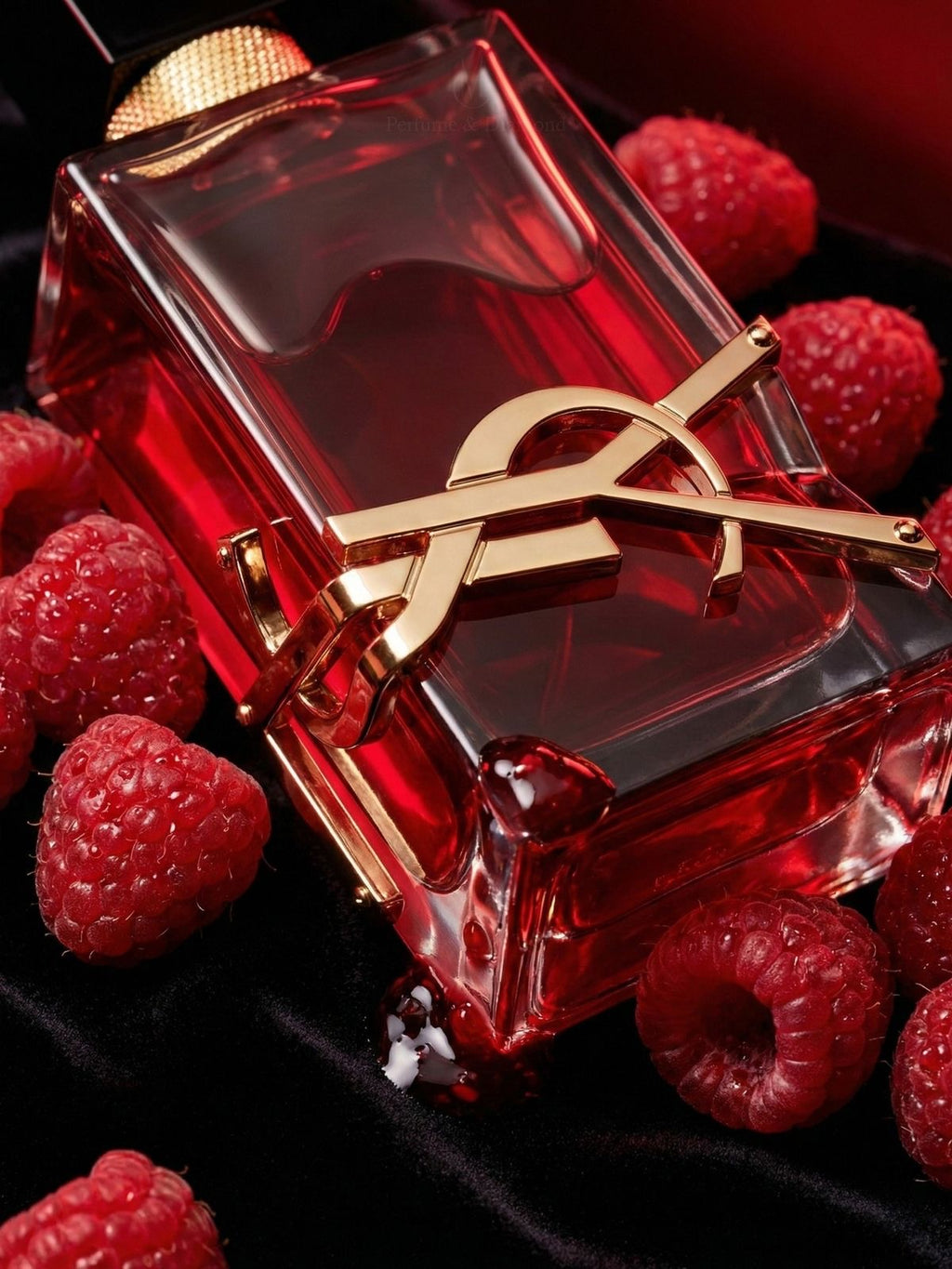 Ysl libre berry crush